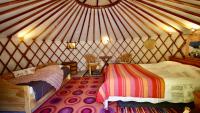Yurt Tent (3 People)