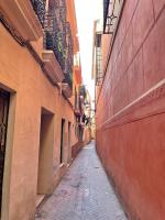 Amplio piso en el mágico barrio de Santa Cruz - Chambres d’hôtes Séville