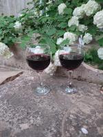 Camera Tripla Budget