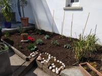 Studio Edeltraud zentral - Bed and Breakfast Wernigerode