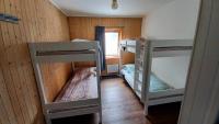 Bunk Bed in Mixed Dormitory Room