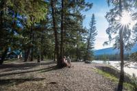 Pine Bungalows