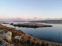 Cosy 2 Bedroom Cottage - B&B Laconnell