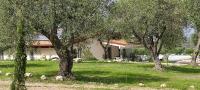 CASA MARE e TRAMONTO w Large Private Pool - B&B Monte Marzeddu