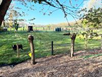 Hoeve Hooierzele - B&B Waasmunster