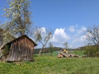 Ferienhaus Ederhof - Idyllischer Vierseithof, kinder- und hundefreundlich, Referenzen auf FeWo-direkt nachlesbar - Chambres d'hôtes Aidenbach