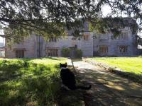 The Manor House, Curry Mallet - Bed and Breakfast