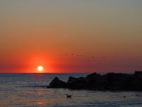 Sunrise Home Apartment - B&B Mangalia