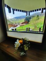 Ferienwohnung-Einklang im schönen Südschwarzwald - B&B