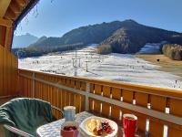 B&B Kranjska Gora - Apartma Sonček, on the ski slopes, balcony, private parking - Bed and Breakfast Kranjska Gora