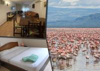 Eucaliptus, Bonito piso a pocos pasos de la playa Delta de l'Ebre - B&B l'Eucaliptus