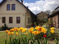 Apartmán Panorama Vrchlabí - Ferienwohnung