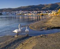 Πλατανακι 2 Seaview Apartment - Chambres d’hôtes