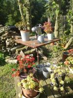 Studio met Uitzicht op de Tuin