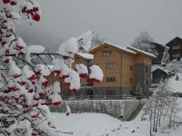 Swissalpschalet Chalet Timber Inn 4-5 - B&B