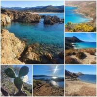 BERNARDINI Emplacement exceptionnel - Ferienwohnung Sari-Solenzara