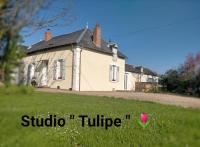 B&B Les Bordes - studio ''tulipe'' dans le Berry - Bed and Breakfast Les Bordes