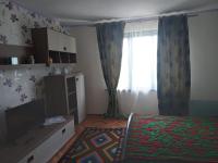 Casa Turcoaz - Ferienwohnung Sviniţa