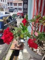 Cintra Heritage House - Bed and Breakfast George Town