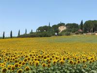 Il vecchio seccatoio - B&B