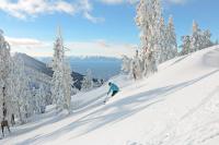 Allen Way Escape - B&B Incline Village