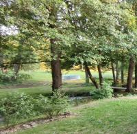 Chatky u potoka - chatička č1 - Orlické hory, wellness pobyty, sud, sauna, masáže - Ferienwohnung Olešnice v Orlických horách