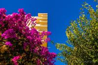 127 Júpiter estudio. Vista al jardín y la piscina. - Chambres d'hôtes Benalmádena