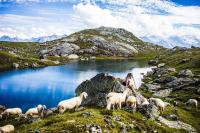 Landhaus Tuxerschafer - B&B Tux