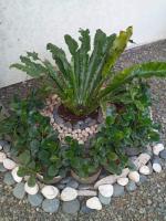 Casa Joaquin BnB - B&B Manila