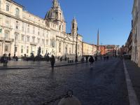 Navona Nest - B&B Roma