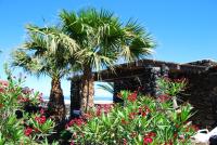 B&B Pantelleria - Dammuso U Sarduni - Bed and Breakfast Pantelleria