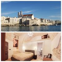 GIOVINAZZO HISTORIC APULIA old town stone house with private patio - B&B Giovinazzo