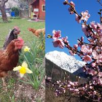 DETENTE NATURE rando, ski , thermes - B&B