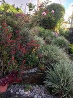 ZEN SOUFRIERE - B&B Saint-Claude