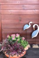 KaSper River House - B&B Ledine