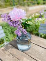 Ferienwohnung am Elberadweg - B&B Meißen