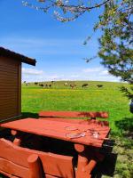 #MazuryWildLife - B&B Giżycko