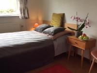 Single Room - B&B