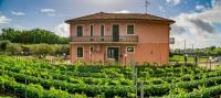Bee Happy - Bed and Breakfast - B&B