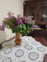 Haus mit 2 Schlafzimmern