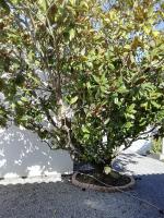 Challans studio - Chambres d’hôtes Challans