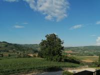 Villa ILIRIA - B&B Ripa