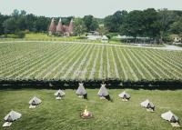 Oastbrook Glamping - Bed and Breakfast