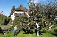 Apfelblüte - B&B Zingst