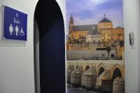 Patio de la Plateria - Chambres d’hôtes Cordoue