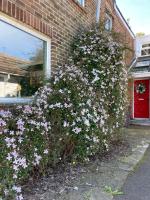 Tweepersoonskamer met 2 aparte bedden en Uitzicht op de Tuin