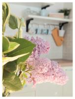 House Old Town Trogir - B&B