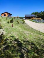 ROZTOCZE, Domek Na Leśnym Wzgórzu, Zwierzyniec, Krasnobród,Zamość - Bed and Breakfast Adamów