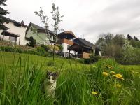 Ubytování v soukromí Karin - Chambres d’hôtes Ludvíkov