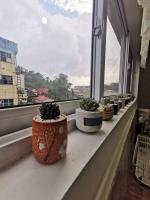 Comfy Dwelling - B&B Baguio